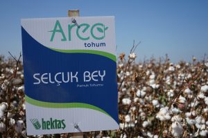 hektas-dunya-pamuk-gununde-iki-ulusal-tohumunu-duyurdu-gsGDWiOs.jpg