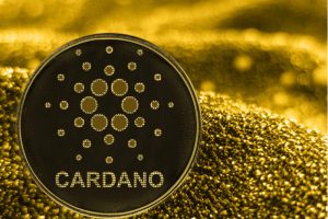 cardano-2023-planlarini-paylasti-takim-adanin-gelecegi-hakkinda-optimist-ruDPDrzs.jpg