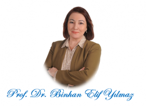 prof-dr-binhan-elif-yilmaz-arabada-otv-matrahi-dugumu-cge9U6xW.png