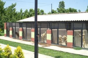 KONICA MINOLTA DIGITAL CAMERA