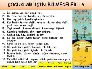 bilmecelervecevaplari5